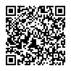 Helle, moderne 2-Raumwohnung in Innenstadtlage! - QR-Code (9722)