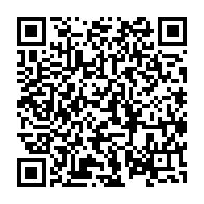 Ab 1.12.! Helle 1-Raumwhg. mit EBK in Marienthal – Nähe HBK! - QR-Code (13394)