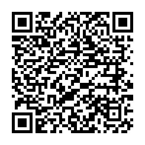 Vermietete 3-Raumwohnung mit Balkon und Tageslichtbad in Zwickau! - QR-Code (6586)