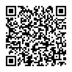 2-Raum Wohnung in zentrumsnaher Lage – 1. OG mit Aufzug und Balkon - QR-Code (8588)