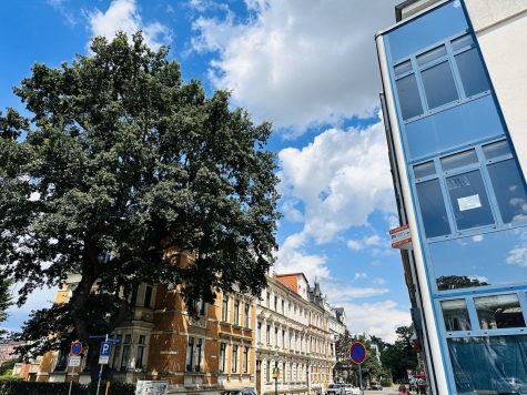 Attraktive 4-Raum-Wohnung mit Balkon, zentrumsnah gelegen und vermietet - Straße (2919)