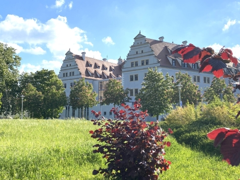 Attraktive 4-Raum-Wohnung mit Balkon, zentrumsnah gelegen und vermietet - Schloss Osterstein (800 m) (2924)