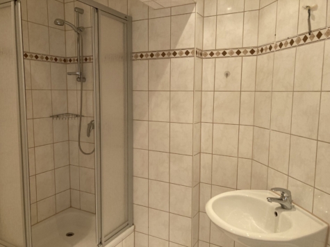 Ab 1.12.! Helle 2-Raumwohnung mit Balkon und Stellplatz in Zwickau! - Bad mit Dusche (12820)