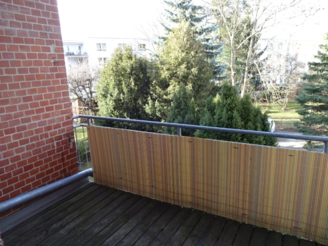 Ab 1.12.! Helle 2-Raumwohnung mit Balkon und Stellplatz in Zwickau! - Balkon (12817)