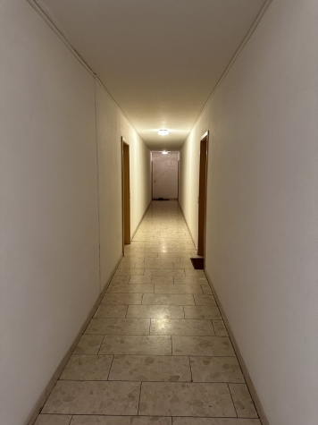Vermietete Maisonette-WE, Balkon, Tageslichtbad, TG-Stpl. in Auerbach/V.! - Hausflur (6712)