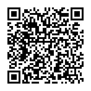 Sanierte 1,5-Raumwohnung mit Balkon und Stellplatz in Marienthal! - QR-Code (2774)