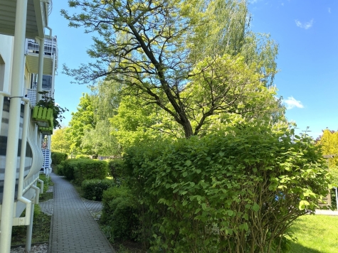 Sanierte 1,5-Raumwohnung mit Balkon und Stellplatz in Marienthal! - Grünanlage hinter dem Haus (2769)