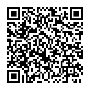 Vermietete 2-Raumwohnung mit Wintergarten in Zwickau! - QR-Code (6551)