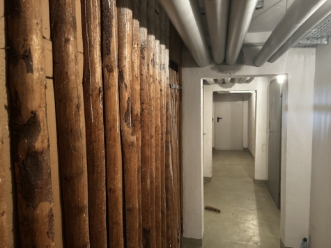 Helle 3-Raumwhg. mit Loggia und EBK in Zwickau-Mosel! - Keller (9648)