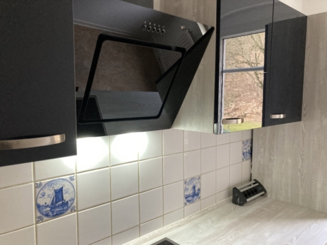 Helle 4-Raumwhg. mit EBK und Balkon in Zwickau! Wallbox für E-Autos am Haus! - Küche Detail Abzughaube (9906)
