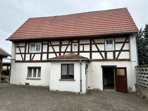 Dreiseitenhof: 2 Wohnhäuser, Nebengelass, gr. Grundstück = viel Raum für individuelle Lebenskonzepte - Bauernhaus (14361)