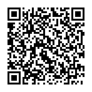 *Ab 1.12.! Zwickau-Innenstadt – Gemütliche 2-Raumwohnung mit Balkon* - QR-Code (15125)