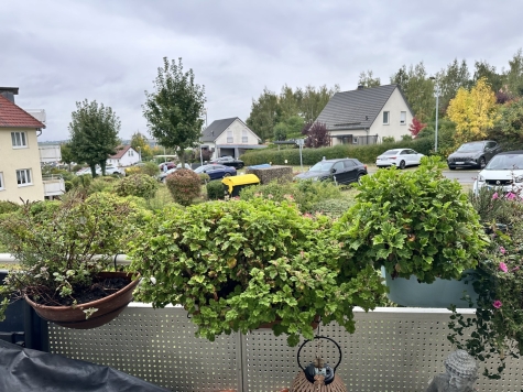 Vermietete 2-Raumwohnung mit Balkon und Stpl. in ruhiger Lage! Zwickau-Cainsdorf! - Ausblick Balkon (7545)