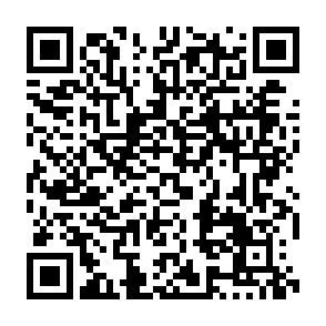 Schöne 2-Raumwohnung mit Balkon, Stpl. und neuer EBK! Tageslichtbad! - QR-Code (9395)
