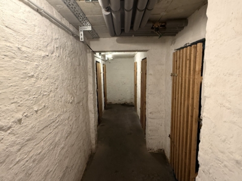 Schöne 2-Raumwohnung mit Balkon, Stpl. und neuer EBK! Tageslichtbad! - Keller (9394)