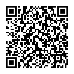 Helle 3-Raum-Wohnung mit Balkon in Zwickau! - QR-Code (7056)