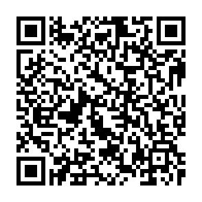 Helle, sanierte 2-Raumwohnung in guter Lage! - QR-Code (14555)