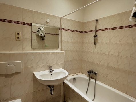 1,5-Raumwhg. mit EBK und Stpl. in historischem Villenviertel! - Badezimmer (7203)