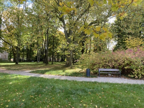 1,5-Raumwhg. mit EBK und Stpl. in historischem Villenviertel! - Schloss Forderglauchau Park (7219)