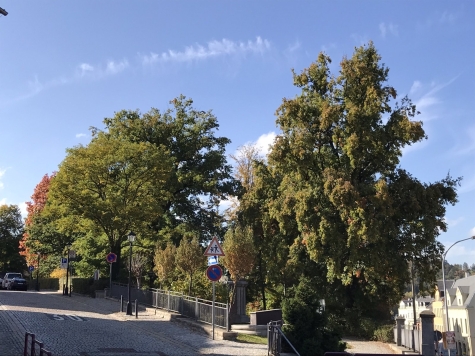 Modernisierte 2-Raum-Wohnung mit Balkon! Denkmalschutz! Leerstehend! - Umgebung (4659)