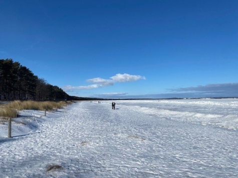 Exklusive Strandnähe trifft moderne Eleganz! EFH mit Einliegerwohnung in Bestlage von Thiessow! - Strand im Winter (6928)