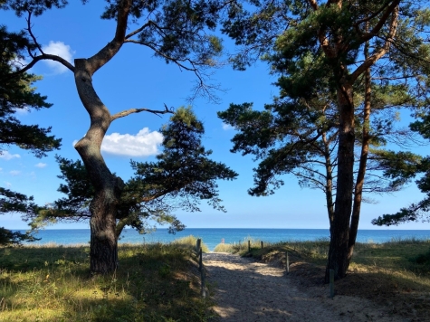 Exklusive Strandnähe trifft moderne Eleganz! EFH mit Einliegerwohnung in Bestlage von Thiessow! - Beispielhafter Strandzugang (6924)