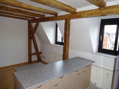 Vermietete 2-Raumwohnung mit Einbauküche; Innenstadtlage! - Wohnzimmer (4775)