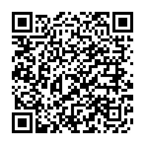 Vermietete 2-Raumwohnung mit Einbauküche; Innenstadtlage! - QR-Code (4804)
