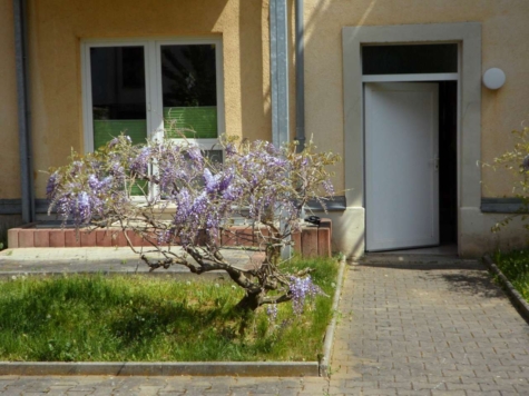 Ab 1.8.26! Gemütliche 2-Raumwohnung mit Balkon, EBK; Nähe Schlobigpark! - Hof (9584)