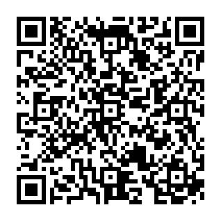 Großes Dachgeschoss-Apartment in Pölbitz mit Einbauküche und Stellplatz! - QR-Code (7176)