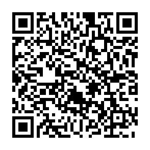Vermietete 2-Raumwohnung mit Balkon u. Tageslichtbad in Zwickau! - QR-Code (6830)