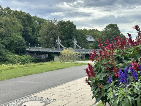 Vermietete 2-Raumwohnung mit Balkon u. Tageslichtbad in Zwickau! - Paradiesbrücke (6827)