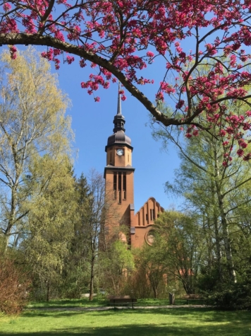 2-Raumwohnung mit Balkon, Fahrstuhl und TG-Stellplatz! Leerstehend ab 1.9.2026 - Pauluskirche mit Park (9211)