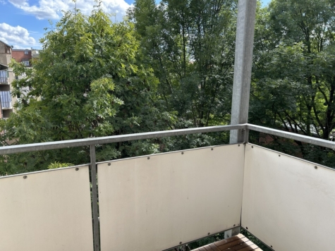 Zentrumsnahe 2-Raumwohnung mit Balkon u. EBK in Zwickau! - Balkon (14851)