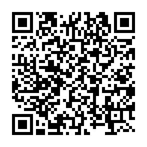 Ab 1.8.26! Zentrumsnahe 2-Raumwohnung mit Balkon u. EBK in Zwickau! - QR-Code (7856)