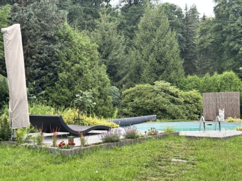 Attraktives Wohn- und Geschäftshaus mit großem Grundstück, Pool und Photovoltaik in Wilkau-Haßlau! - Pool (14115)