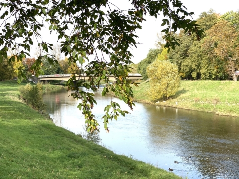 Attraktive Gewerbeeinheit in Zwickau-Nordvorstadt! - Zwickauer Mulde (5828)