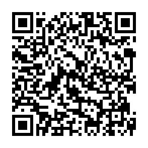 Ab 1.9.26! Schöne 1,5-Raumwohnung im Zwickauer Zentrum! - QR-Code (7812)