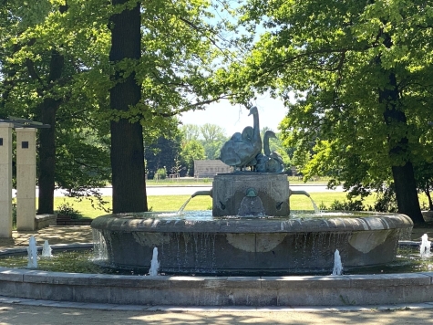 Perfekt für studentisches Wohnen in der Hochschulstadt Zwickau – Großes Potenzial in 1A-Lage - Schwanenbrunnen (7714)