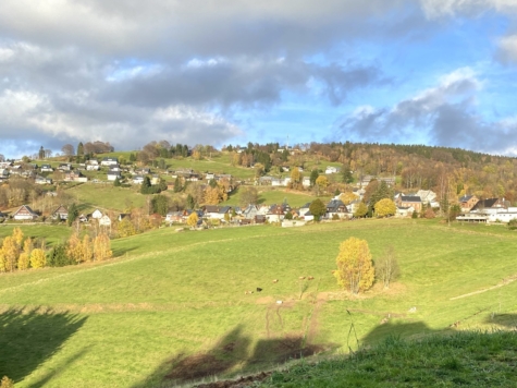 Sanierungsbedürftiges Mehrfamilienhaus mit 3 Wohneinheiten in Klingenthal! - Klingenthal (11957)