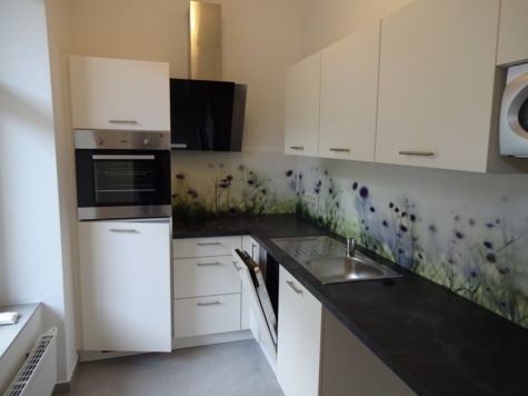 Ab 1.12.! Moderne 1-Raumwohnung mit Balkon u. EBK im Herzen von Zwickau - Einbauküche (12185)