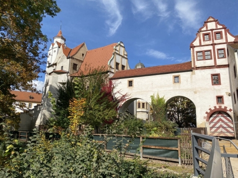 Frisch renoviert! 2-Raumwhg. mit Balkon, TG-Stpl. (duplex, saniert), Neubau 1997! Leerstand! - Schloss Glauchau (2814)