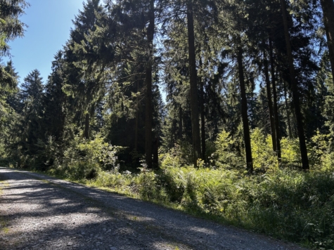 Sanierungsbedürftiges, unberäumtes Ferienhaus mit Garten und Stellplatz in ruhiger Lage! - Wald (9477)