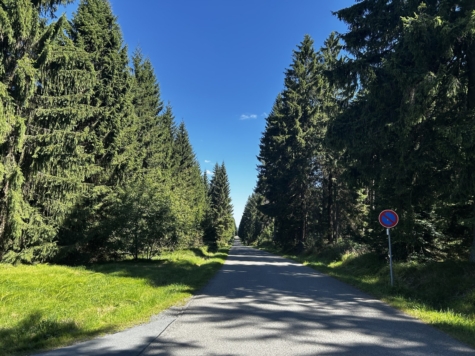 Sanierungsbedürftiges, unberäumtes Ferienhaus mit Garten und Stellplatz in ruhiger Lage! - Umgebung, Wald (9470)
