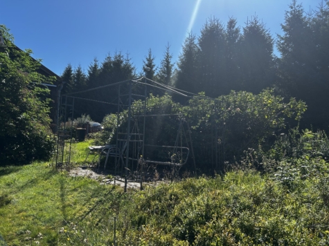 Sanierungsbedürftiges, unberäumtes Ferienhaus mit Garten und Stellplatz in ruhiger Lage! - Garten (9465)