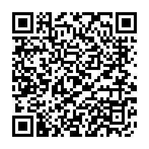 Vermietete 1,5-Raumwhg. mit Balkon in Marienthal – Nähe HBK! - QR-Code (6756)