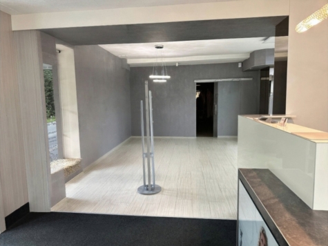 Attraktives Wohn- und Geschäftshaus mit großem Grundstück, Pool und Photovoltaik in Wilkau-Haßlau! - Gewerbe EG (14139)