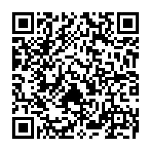 Vermietete 2-Raum-Wohnung Marienthal! Nähe HBK! - QR-Code (7532)