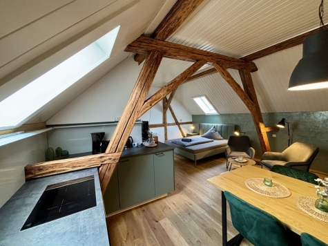 Einzigartiges Anwesen mit Wohnhaus, Gewerbeflächen, Ferienwohnungen und großem Naturareal! - Studio (5787)