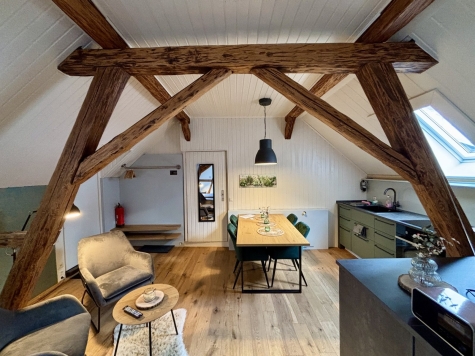 Einzigartiges Anwesen mit Wohnhaus, Gewerbeflächen, Ferienwohnungen und großem Naturareal! - Studio (5788)
